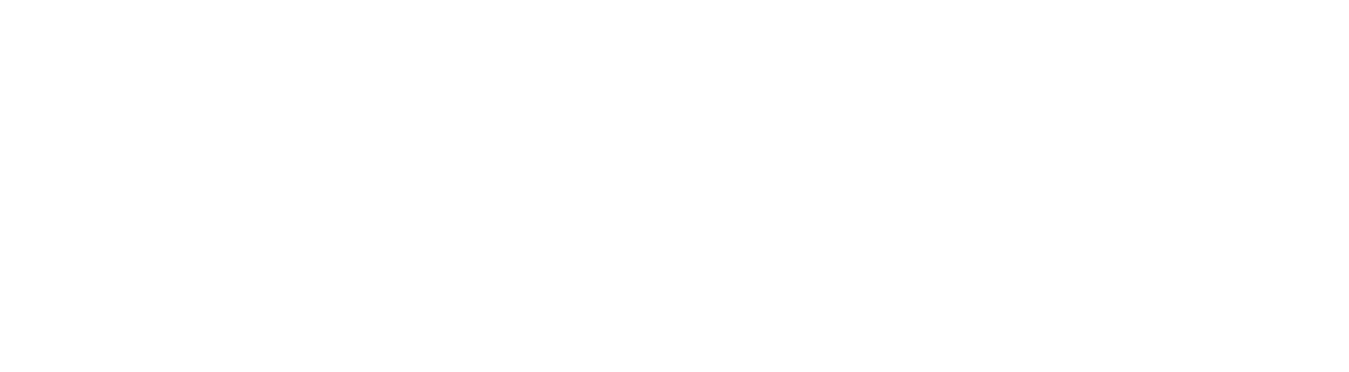 Max Mapping Logo